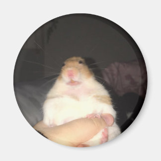 Lelijk hamster meme magneet