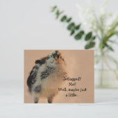 lelijk kuiken briefkaart (Staand voorkant)