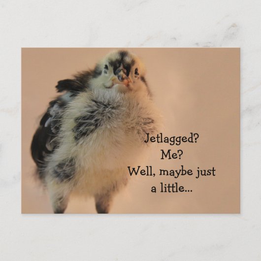 lelijk kuiken briefkaart (Voorkant)