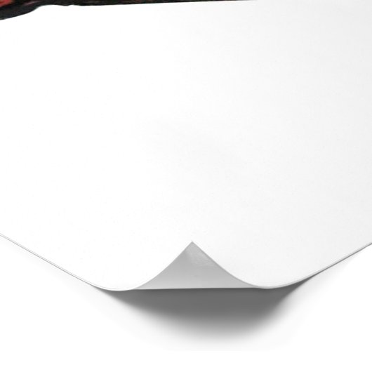 lelijke illustratie van de vissoort cartoon poster (Hoek)