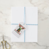 Lelijke Kerstmuts Stijl Verlichte Schildpad Kerstm Cadeaulabel (Met Touw)