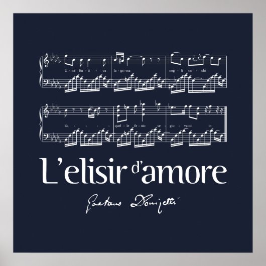 L'elisir d'amore 2 poster (Voorkant)