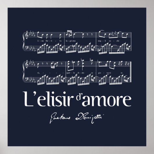 L'elisir d'amore 2 poster (Voorkant)