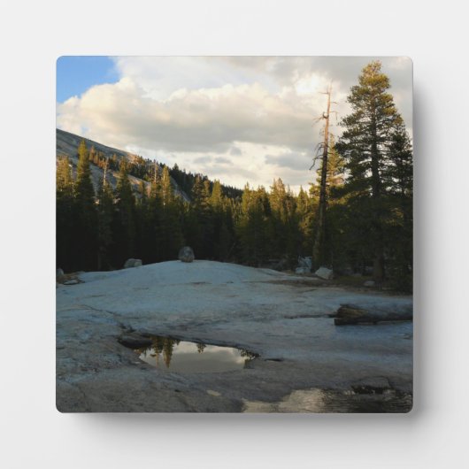 Lembert Dome in Tuolumne Meadows, Yosemite, CA Fotoplaat (Voorkant)