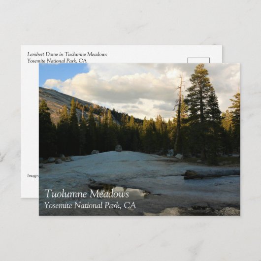 Lembert Dome in Tuolumne Meadows, Yosemite, CA Pos Briefkaart (Voorkant / Achterkant)