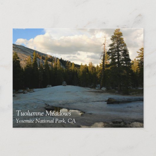 Lembert Dome in Tuolumne Meadows, Yosemite, CA Pos Briefkaart (Voorkant)