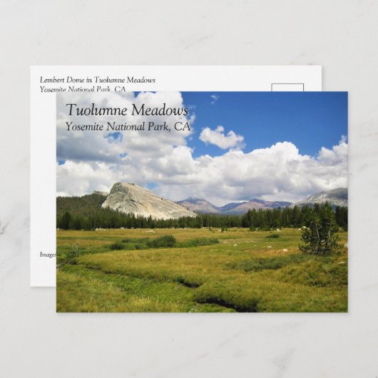 Lembert Dome in Tuolumne Meadows, Yosemite, CA Pos Briefkaart (Voorkant / Achterkant)
