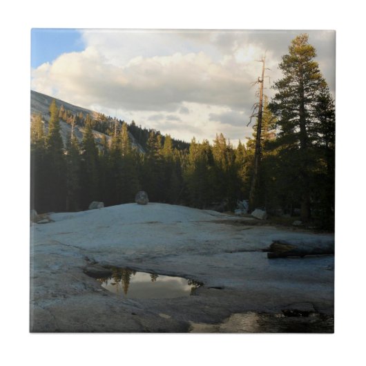 Lembert Dome in Tuolumne Meadows, Yosemite, CA Tegeltje (Voorkant)
