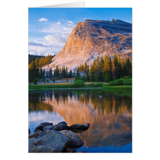 Lembert Dome landschap, Californië (Voorkant)
