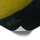 Lemon Afbeelding Poster (Hoek)