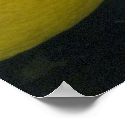 Lemon Afbeelding Poster (Hoek)