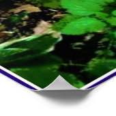 Lemon Balm Herb Garden Poster (Hoek)