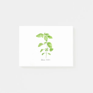 Lemon-balm-waterverf tuingroen post-it® notes