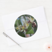 Lemon Blossom Ronde Sticker (Envelop)