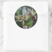 Lemon Blossom Ronde Sticker (Tas)