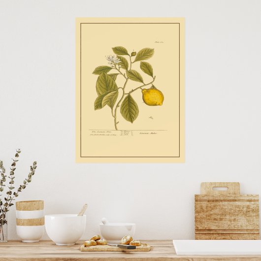 Lemon Boom Botanische Keukenkunst Poster (Keuken)