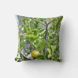 Lemon Boom is heel mooi op deze kussen! Kussen