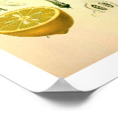 Lemon Botanical Print (Hoek)