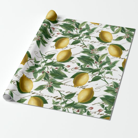 Lemon Branch French Script Fruit Cadeaupapier (Uitgerold)