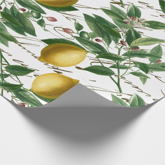  Lemon Branch French Script Fruit Cadeaupapier (Hoek)