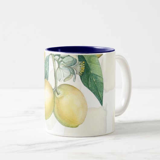 Lemon Branches White & Yellow Country Robuuste afb Tweekleurige Koffiemok (Voorkant rechts)