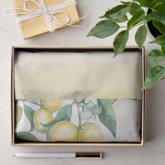 Lemon Branches Wit & Geel Land Rustiek Tissuepapier (Geschenk)