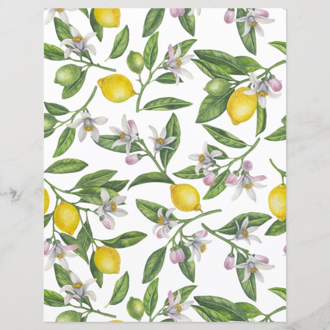 Lemon branches with blossoms and fruit on white (Voorkant)