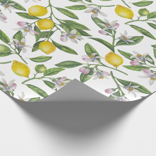 Lemon branches with blossoms and fruit on white cadeaupapier (Hoek)
