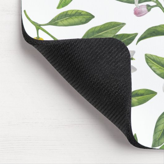 Lemon branches with blossoms and fruit on white muismat (Hoek)