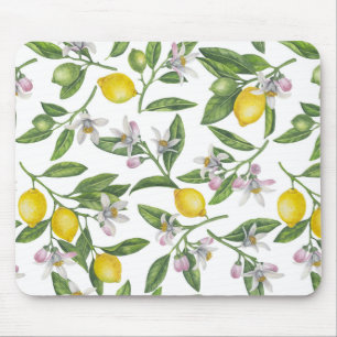 Lemon branches with blossoms and fruit on white muismat