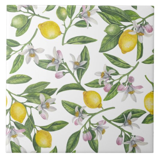 Lemon branches with blossoms and fruit on white tegeltje (Voorkant)