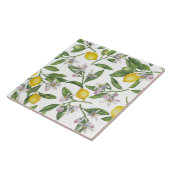 Lemon branches with blossoms and fruit on white tegeltje (Zijkant)