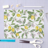 Lemon branches with blossoms and fruit on white tissuepapier (Craft)