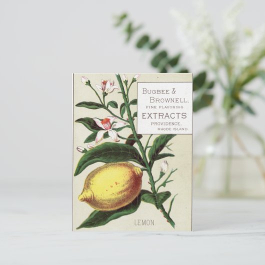  Lemon Briefkaart (Staand voorkant)