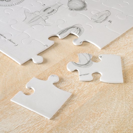 Lemon Citrus Fruit Botanical Limonium Illustration Legpuzzel (Zijkant)