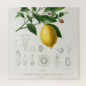 Lemon Citrus Fruit Botanical Limonium Illustration Legpuzzel (Verticaal)