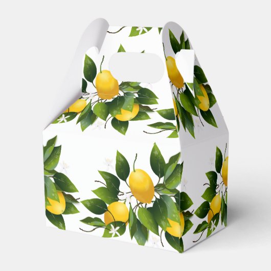 Lemon Citrus Fruit Greenery Bedankdoosjes (Achterkant)