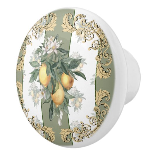 Lemon Citrus | Groen en wit gestreept legant Keramische Knop (Rechts)