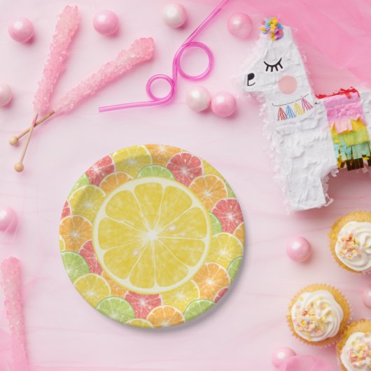 Lemon Citrus Slices Papieren Bordje (Feest)