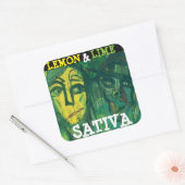 LEMON EN LIMOEN SATIVA VIERKANTE STICKER (Envelop)