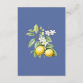 Lemon Enclosure Card Details Informatiekaartje (Achterkant)