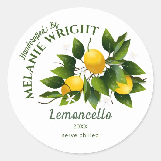 Lemon Fruit Canning Classic Round Sticker (Voorkant)