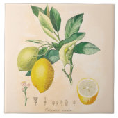 Lemon Fruit Ceramic Accent Tile, Kitchen Decor Tegeltje (Voorkant)
