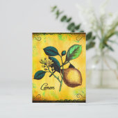 Lemon Fruit Flowers verlaat  botanisch Briefkaart (Staand voorkant)