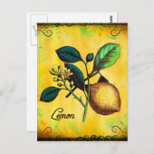 Lemon Fruit Flowers verlaat  botanisch Briefkaart (Voorkant / Achterkant)
