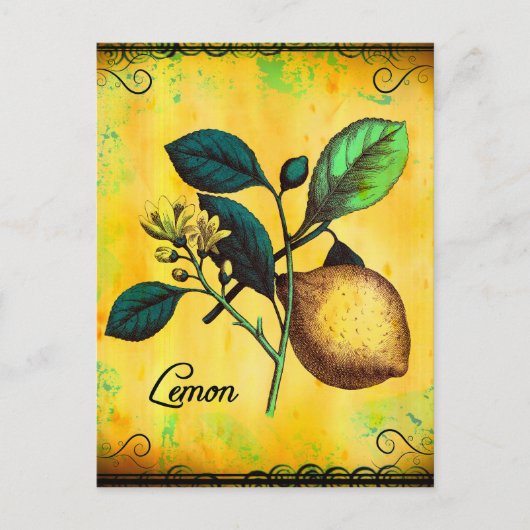 Lemon Fruit Flowers verlaat  botanisch Briefkaart (Voorkant)