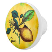Lemon Fruit Flowers verlaat  botanisch Keramische Knop (Rechts)