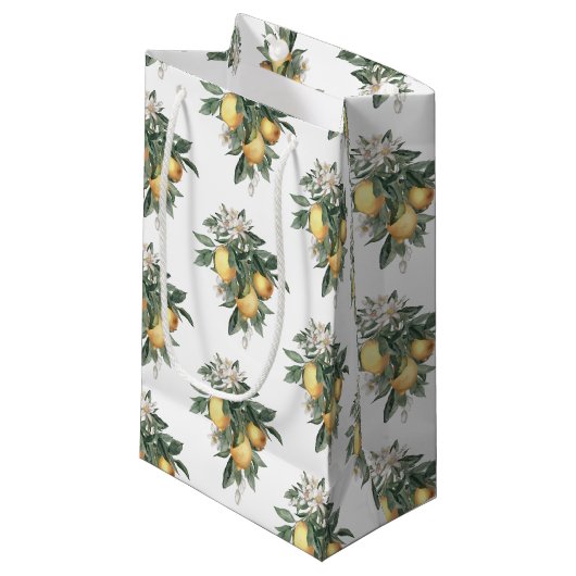 Lemon Fruit Glossy Gift Bag Klein Cadeauzakje (Voorkant Gekanteld)