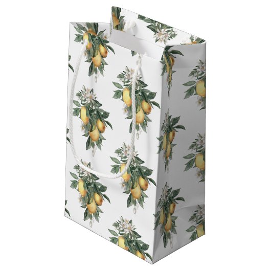 Lemon Fruit Glossy Gift Bag Klein Cadeauzakje (Achterkant Gekanteld)