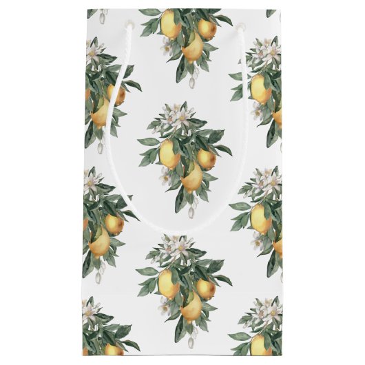 Lemon Fruit Glossy Gift Bag Klein Cadeauzakje (Voorkant)